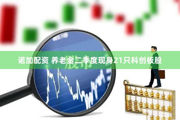 诺加配资 养老金二季度现身21只科创板股