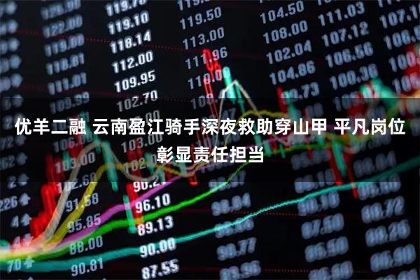 优羊二融 云南盈江骑手深夜救助穿山甲 平凡岗位彰显责任担当
