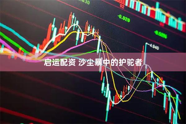 启运配资 沙尘暴中的护驼者