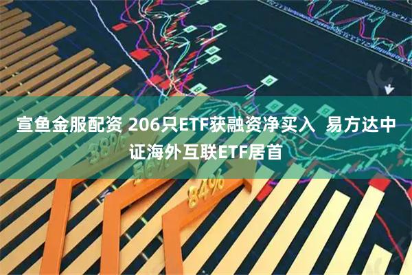 宣鱼金服配资 206只ETF获融资净买入  易方达中证海外互联ETF居首