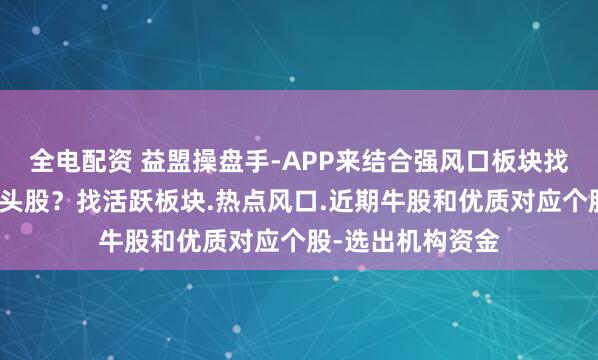 全电配资 益盟操盘手-APP来结合强风口板块找到相对的行业龙头股？找活跃板块.热点风口.近期牛股和优质对应个股-选出机构资金