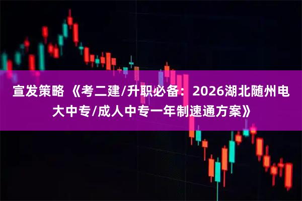 宣发策略 《考二建/升职必备：2026湖北随州电大中专/成人中专一年制速通方案》